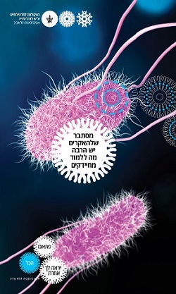 מסתבר שלהאקרים יש הרבה מה ללמוד מחיידקים